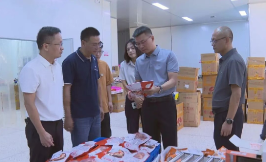 縣長調研電商及口岸經濟工作，聚焦海淘物流發展新路徑